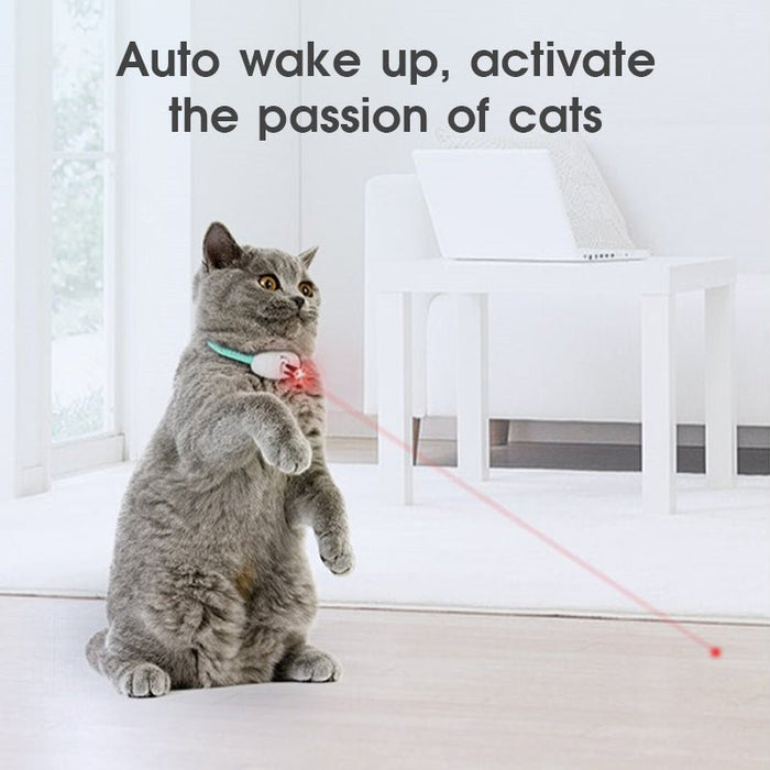 MeowLaser Cat Collar Play - UzoShop -Cat Toys -3+1 Sale - animals