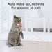 MeowLaser Cat Collar Play - UzoShop -Cat Toys -3+1 Sale - animals