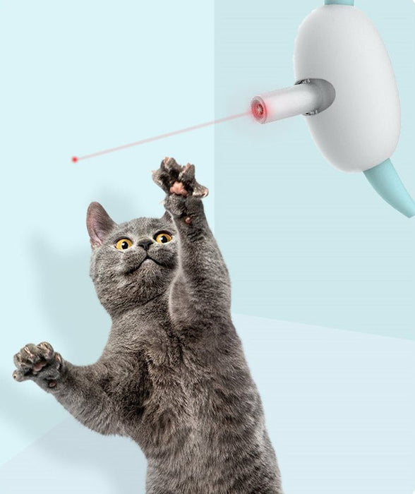 MeowLaser Cat Collar Play - UzoShop -Cat Toys -3+1 Sale - animals